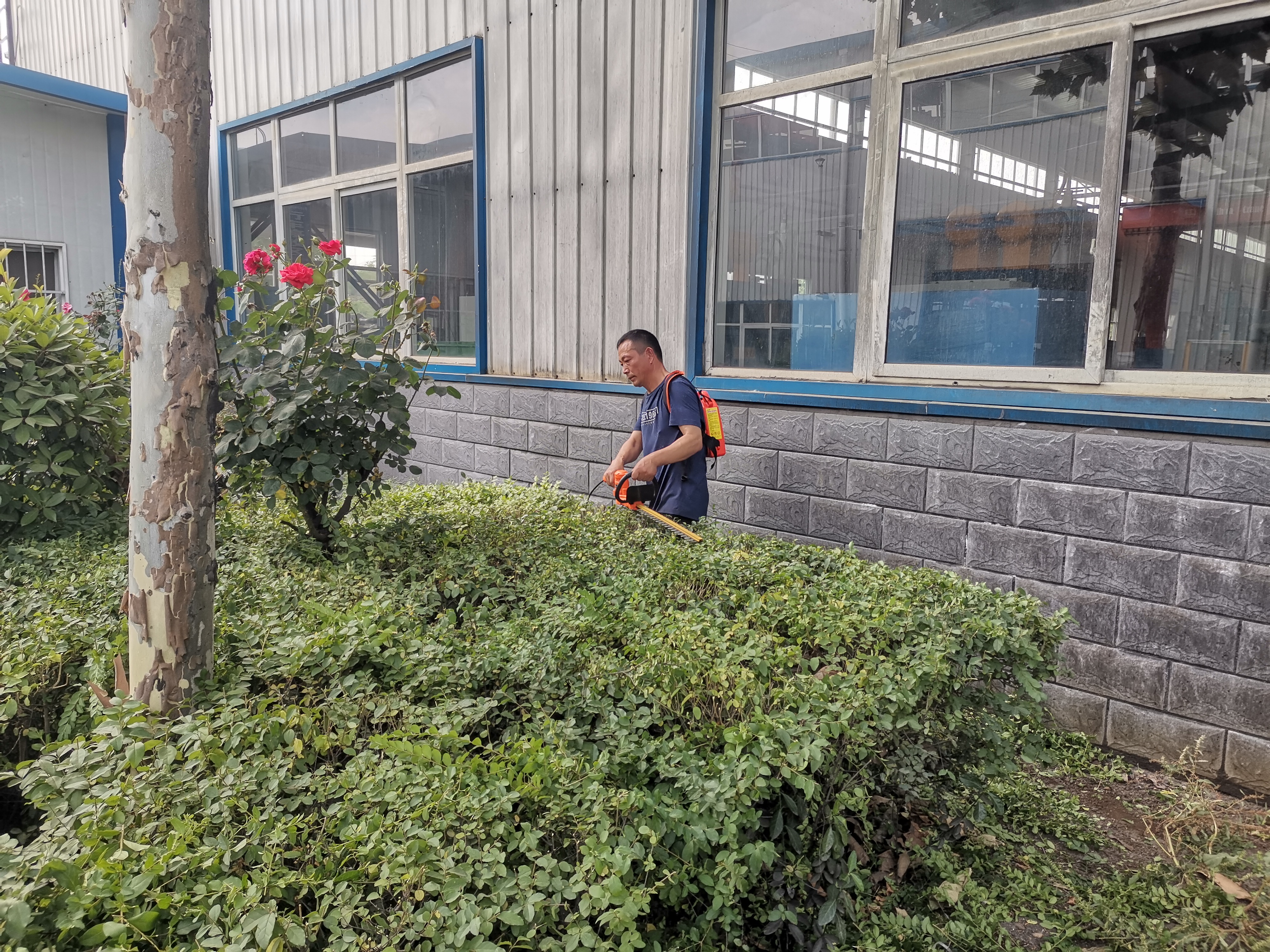 新能源汽车主减齿轮